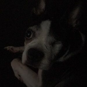 Meet your Posher, Todd